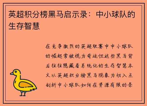 英超积分榜黑马启示录：中小球队的生存智慧